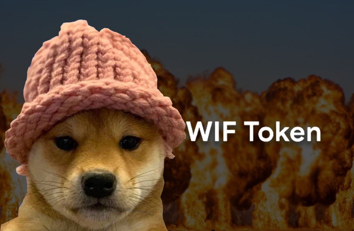 WIF币平台